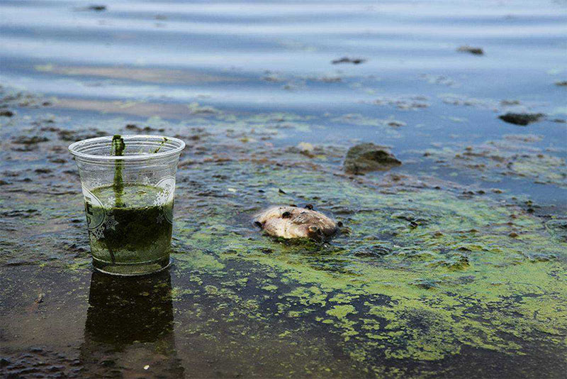 industrial sewage