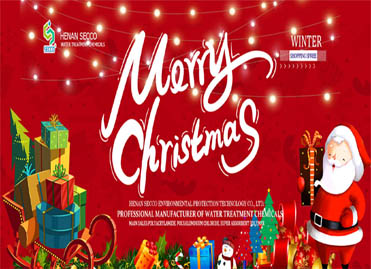 Merry Christmas! Season’s Greetings from SECCO!