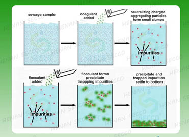 How should one operate when using polyacrylamide and polyaluminium chloride for wastewater flocculation and sedimentation treatment?
